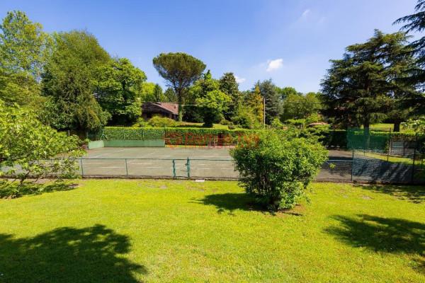 immagine annuncio 9 di 12