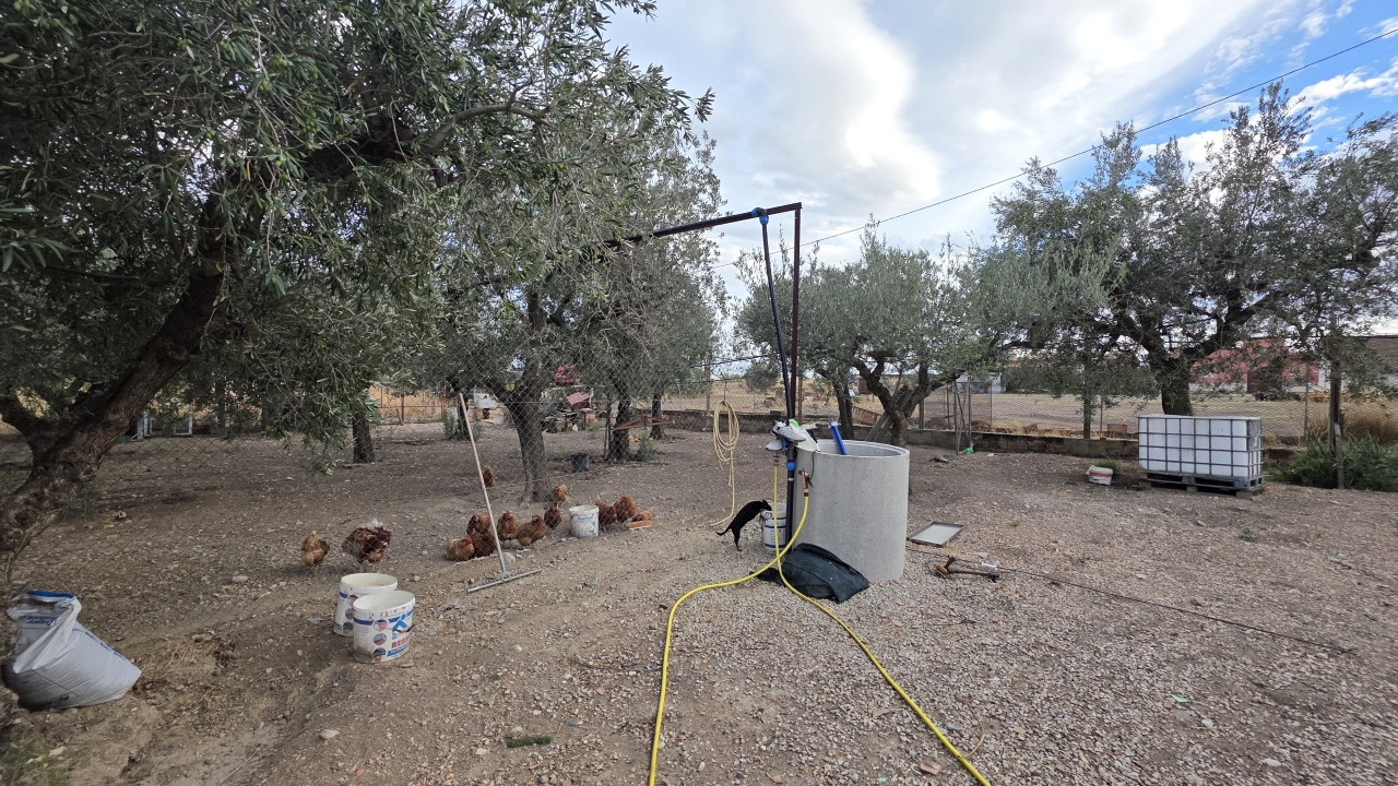 immagine annuncio 12 di 15