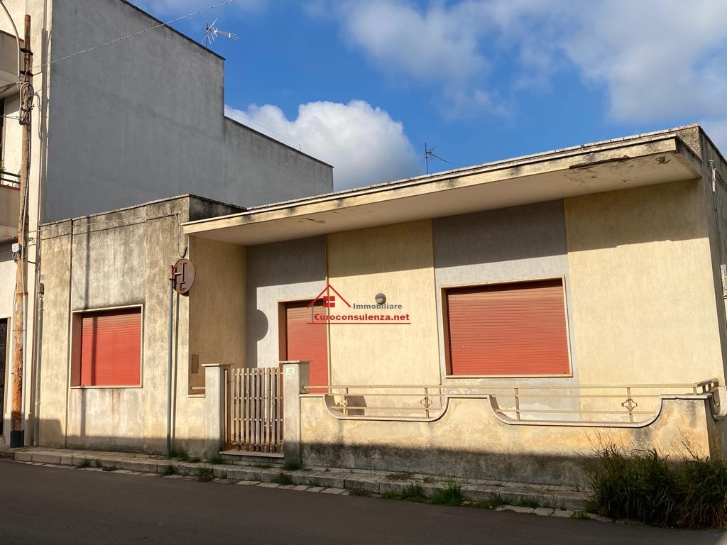 immagine annuncio 3 di 12