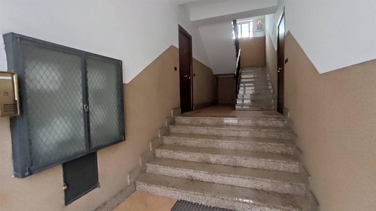 immagine annuncio 1 di 14