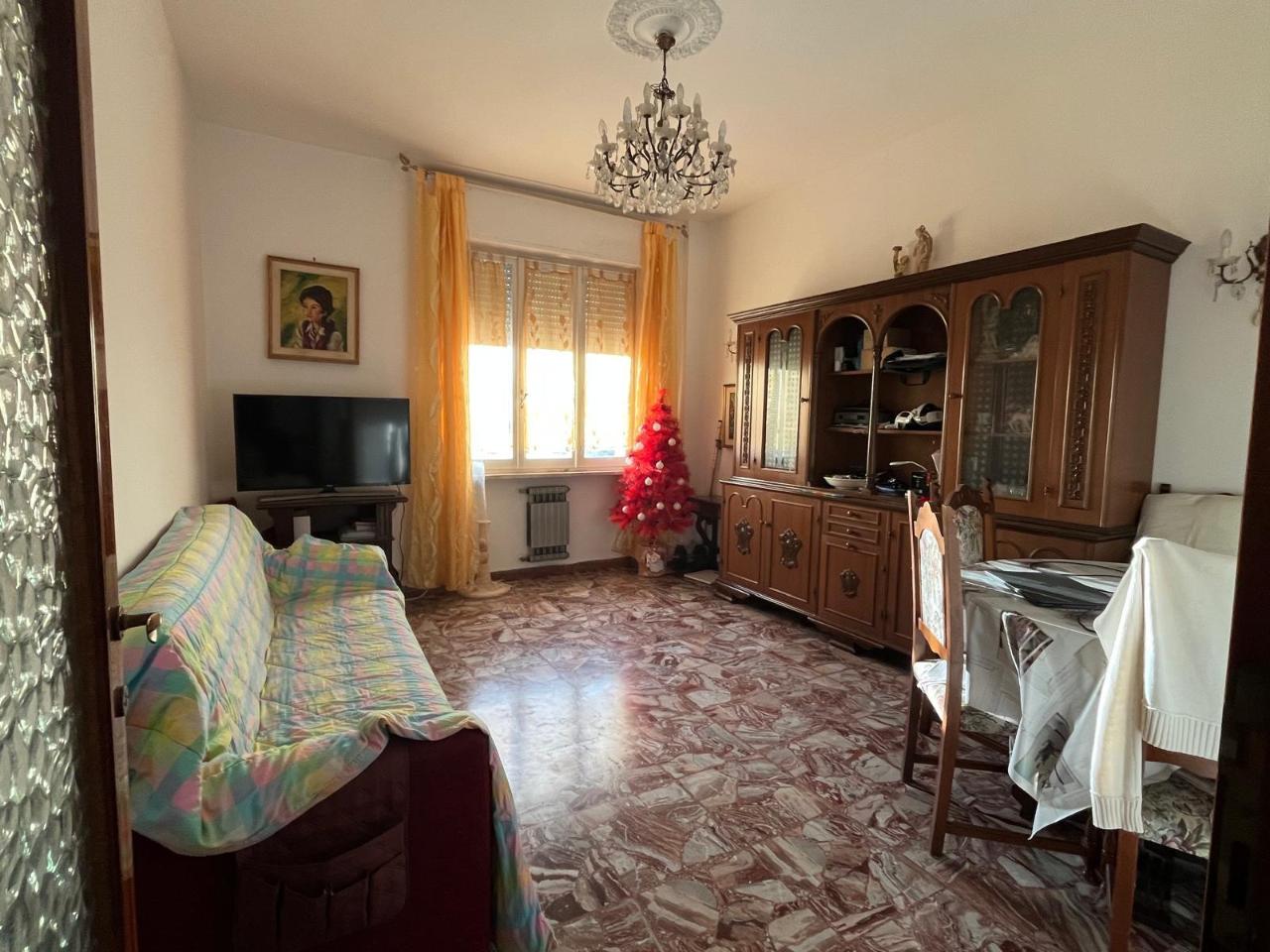 immagine annuncio 3 di 14