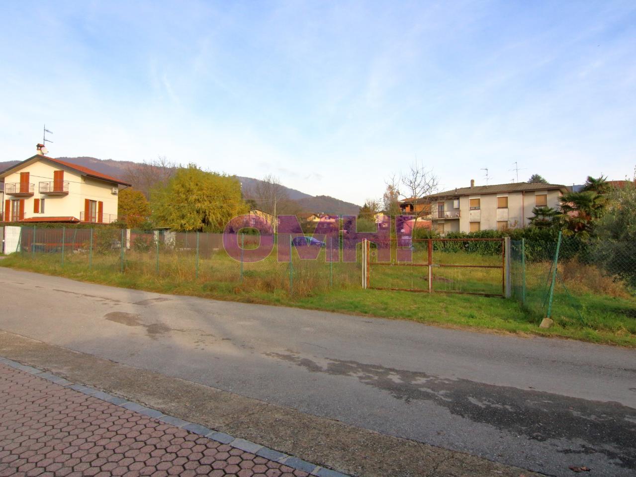 immagine annuncio 10 di 14
