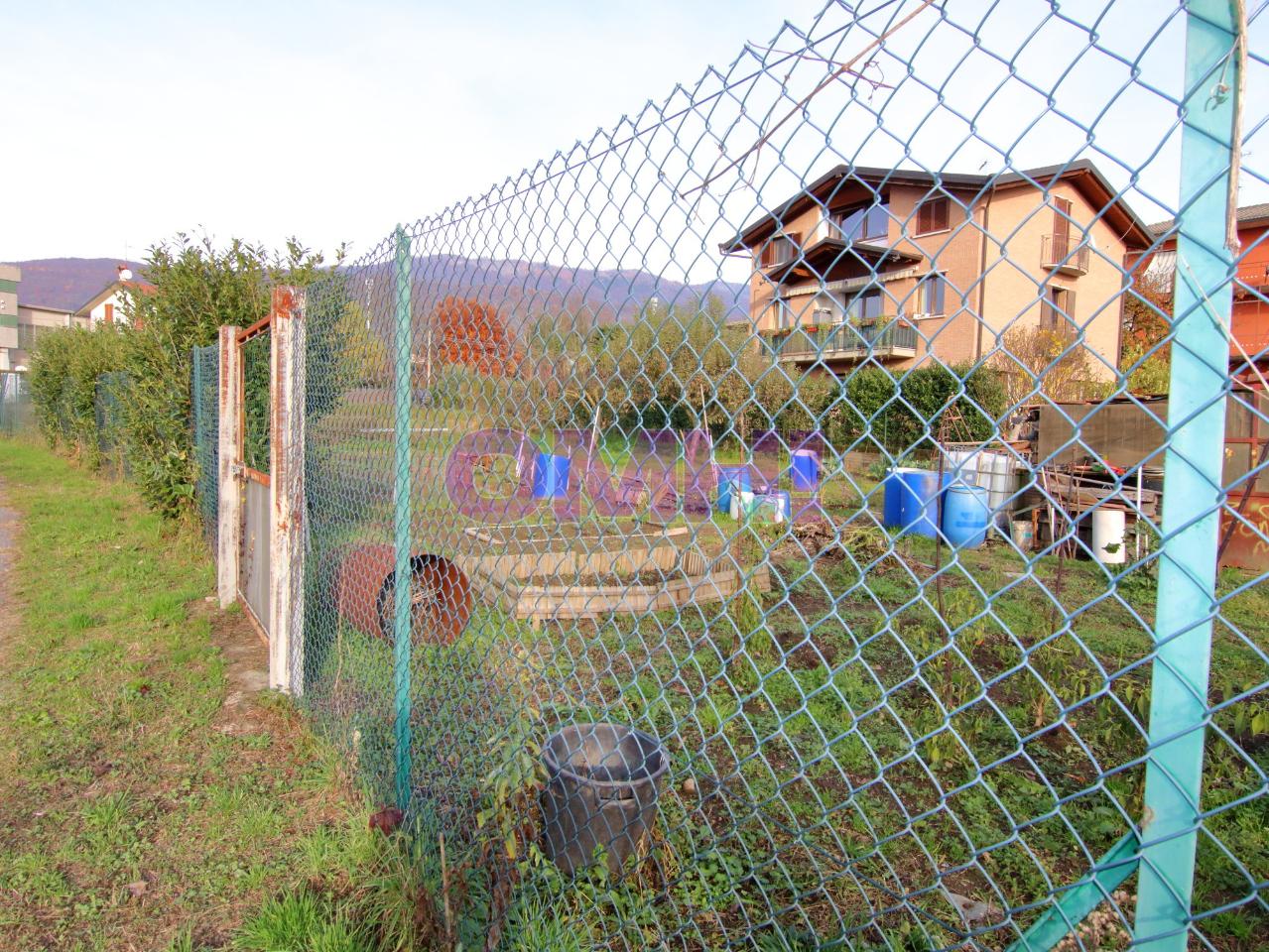 immagine annuncio 9 di 14