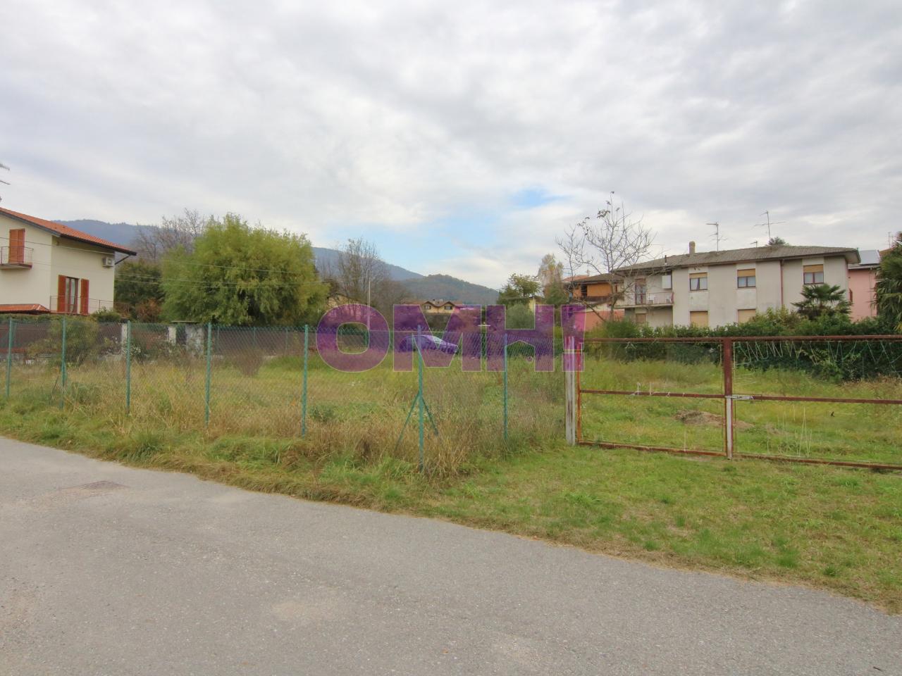 immagine annuncio 3 di 14