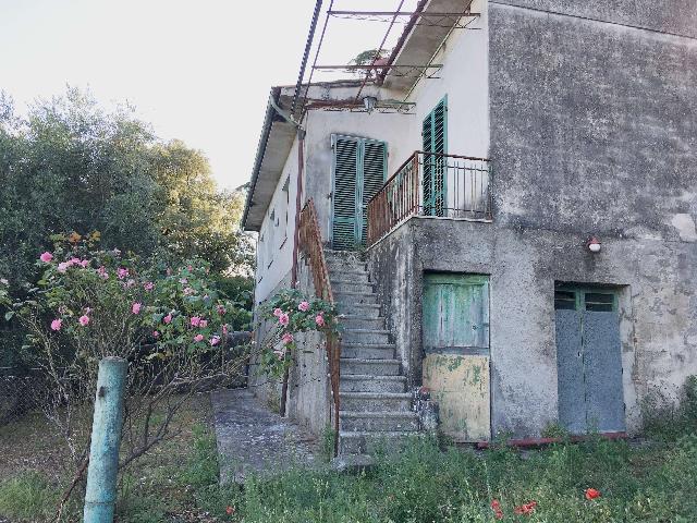 Semi-detached house in San Gennaro, Capannori - Photo 1