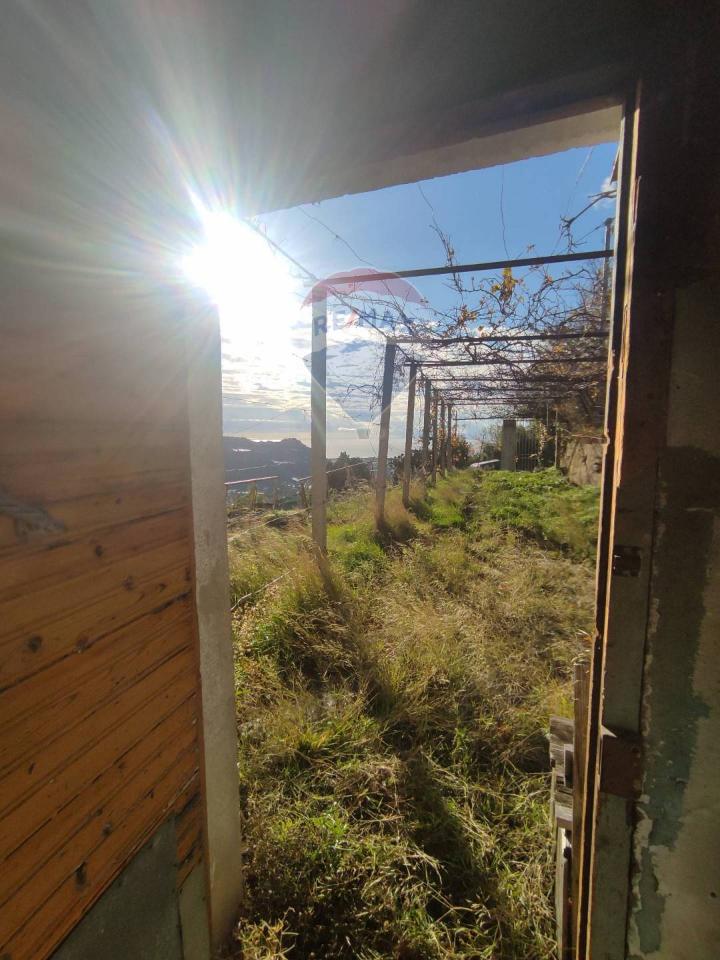 Terreno agricolo in vendita a Taggia