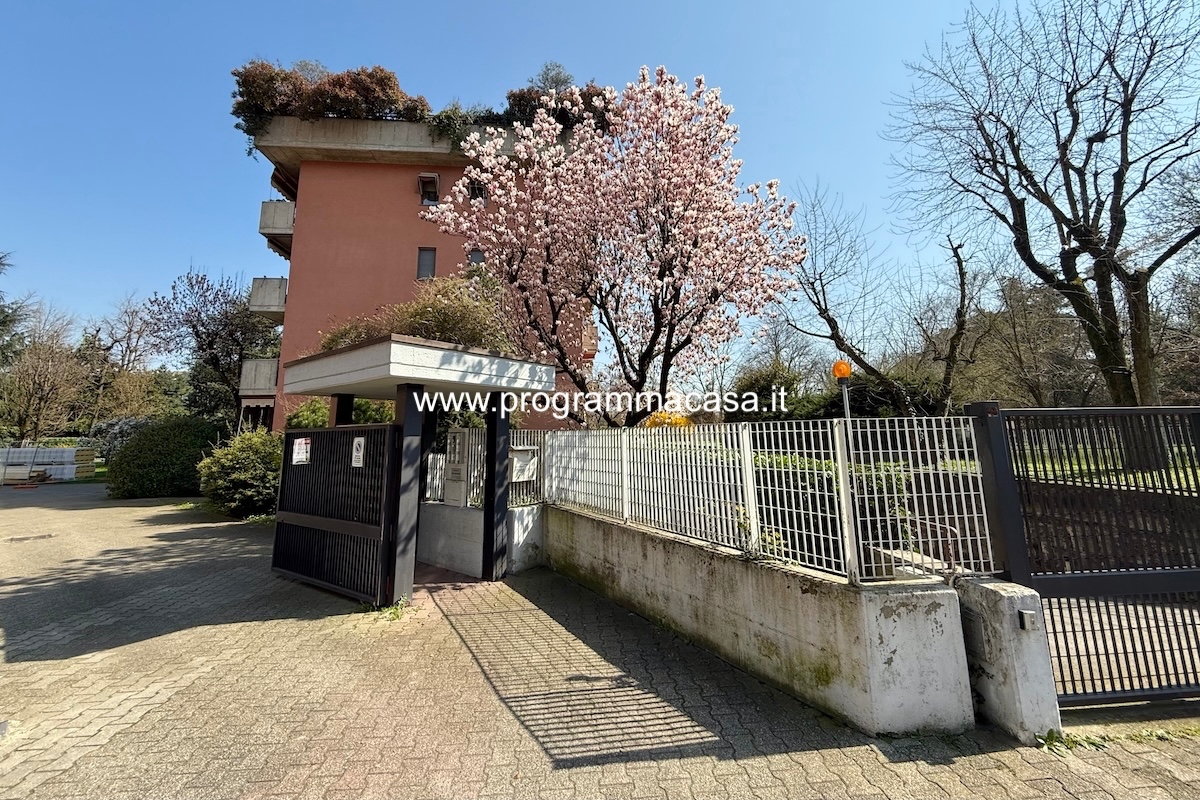 immagine annuncio 12 di 14