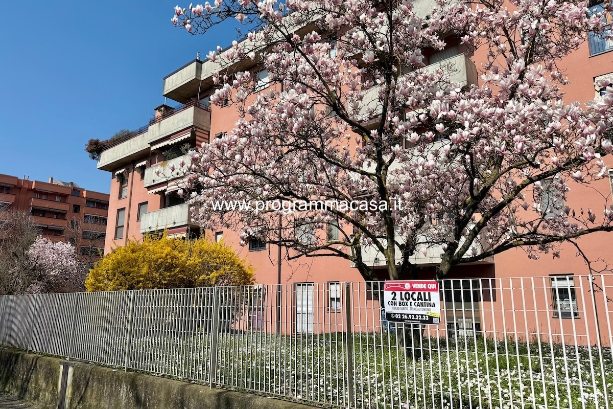 immagine annuncio 3 di 14