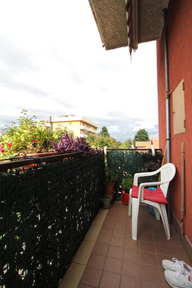 immagine annuncio 3 di 14