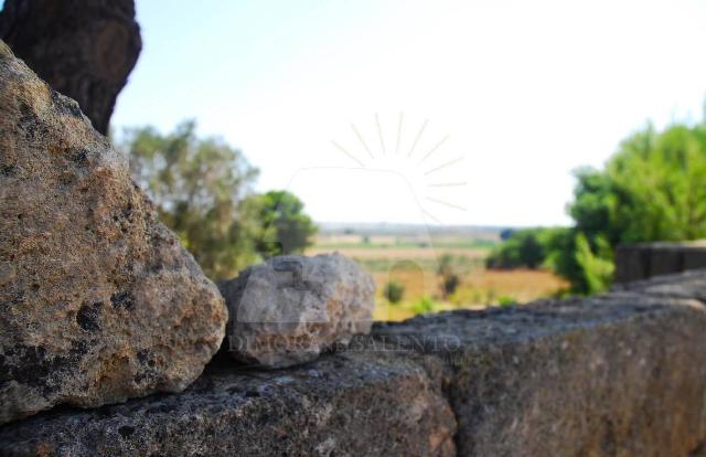 Terreno agricolo in {3}, Strada Comunale Nuova di Novaglie - Foto 1