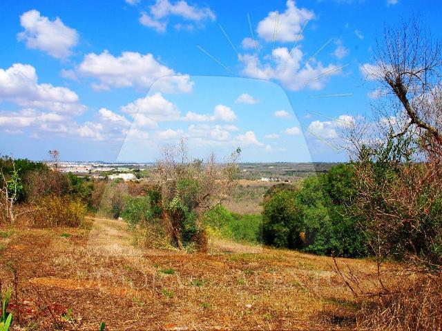 Terreno agricolo in {3}, Strada Vicinale Cariddi - Foto 1