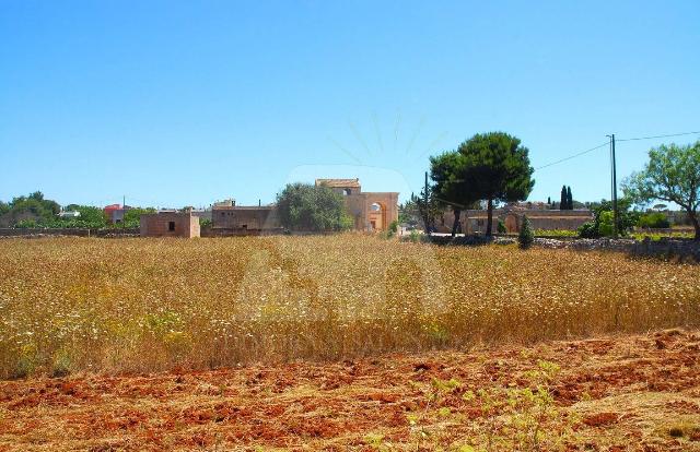 Agrargrundstück in Strada Comunale Chiavarello, Morciano di Leuca - Foto 1