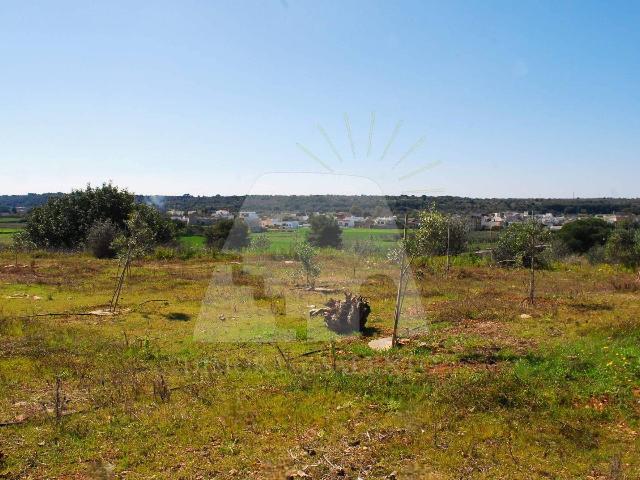 Agricultural land in {3}, Strada Vicinale Carcarella - Photo 1