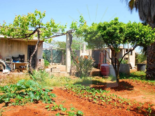 Terreno agricolo in {3}, Strada Vicinale Terrascarrini - Foto 1