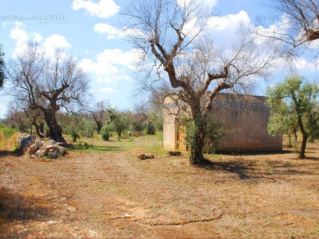 Agricultural land in {3}, Strada Vicinale Cariddi - Photo 1