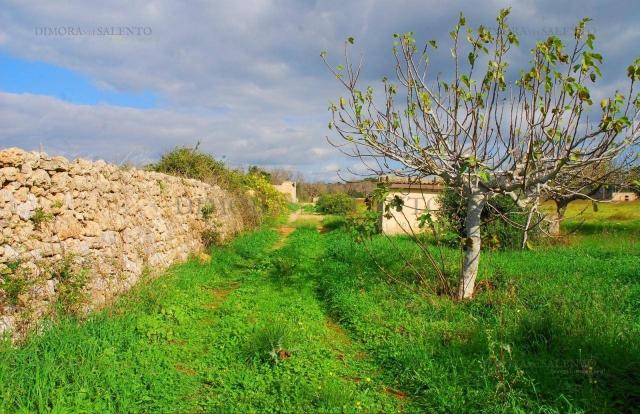 Terreno agricolo in {3}, Sp 292 Snc - Foto 1