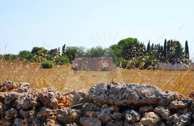 Agrargrundstück in {3}, Strada Comunale Alessano Specchia - Foto 1