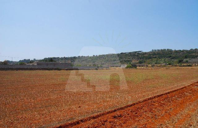 Agrargrundstück in {3}, Strada Comunale Alessano Specchia - Foto 1