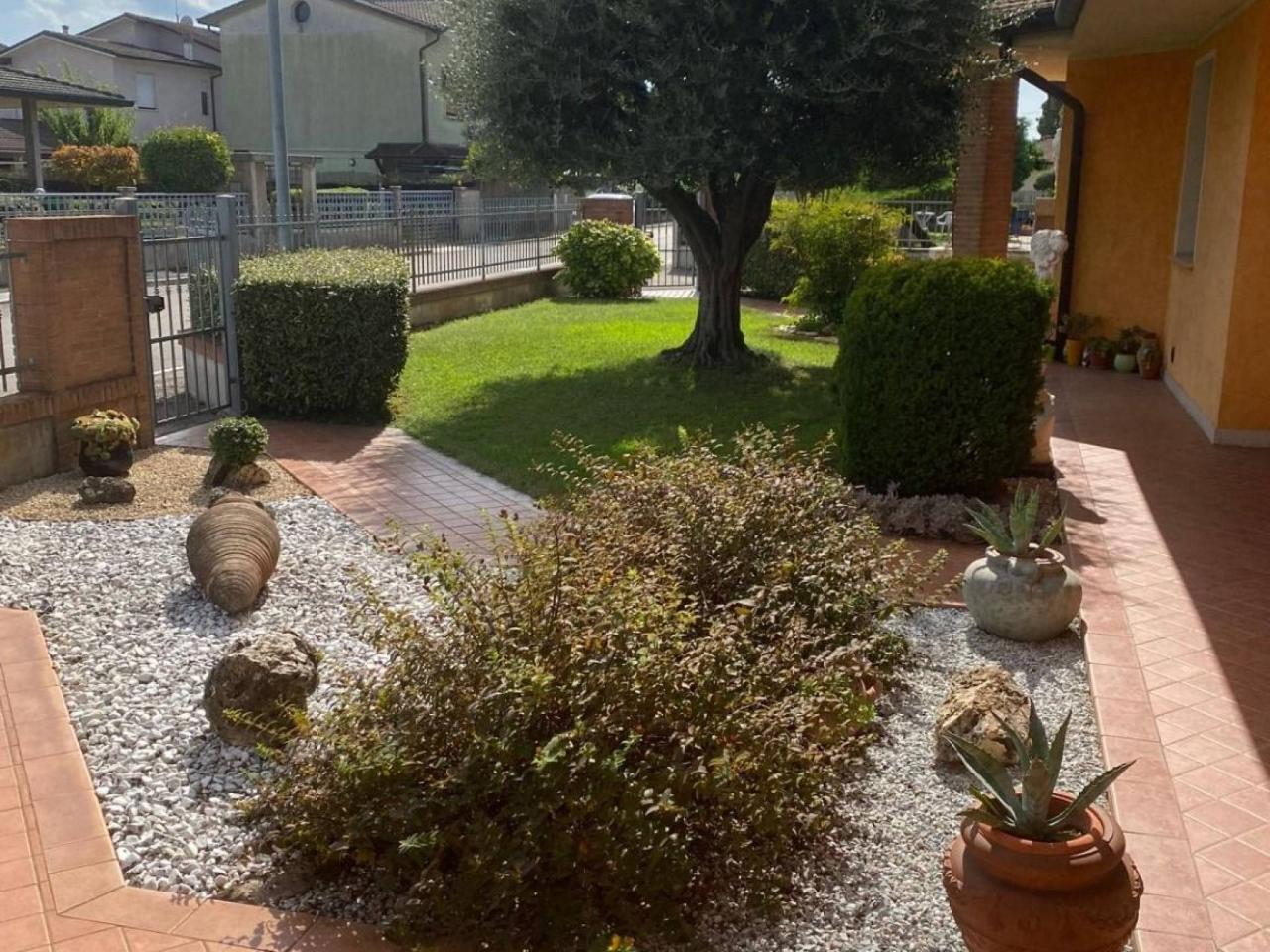 immagine annuncio 9 di 13