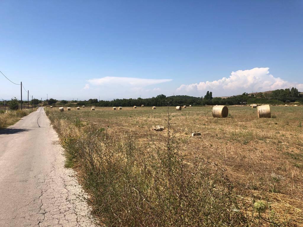 Terreno agricolo in vendita a Civitavecchia