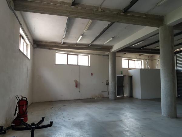 Magazzino in , Frosinone, {3} - Foto 2