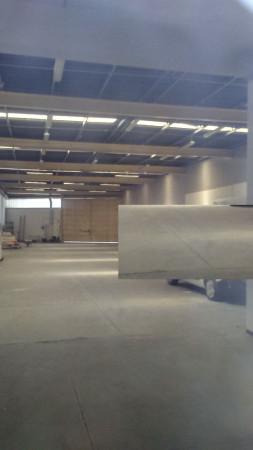Magazzino in Via Armando Vona, Frosinone, {3} - Foto 2