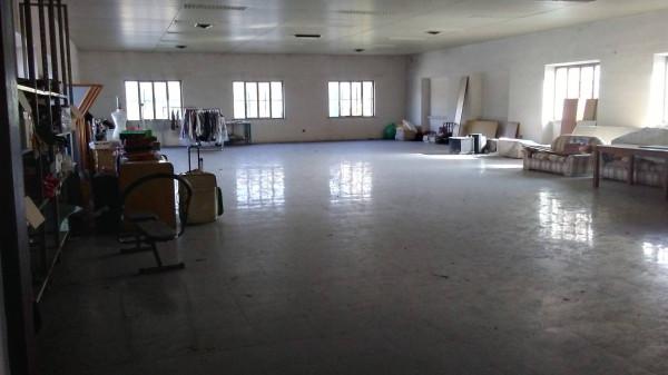 Negozio in , Frosinone, {3} - Foto 1