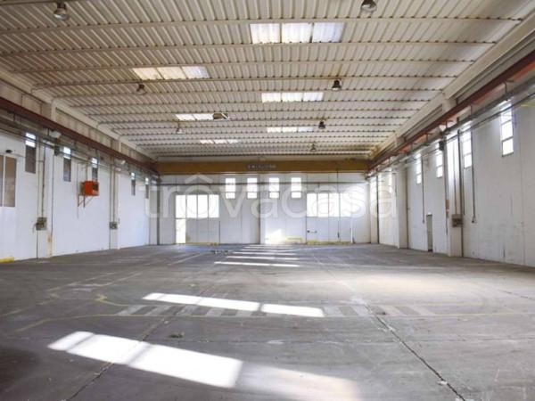 Capannone in , Ferentino, {3} - Foto 2