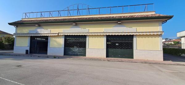 Negozio in , Frosinone, {3} - Foto 2