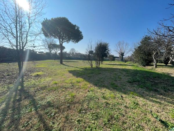 immagine annuncio 3 di 6