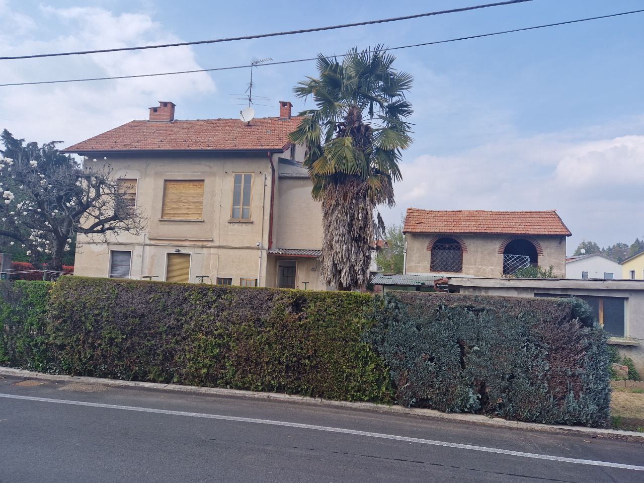 immagine annuncio 8 di 15