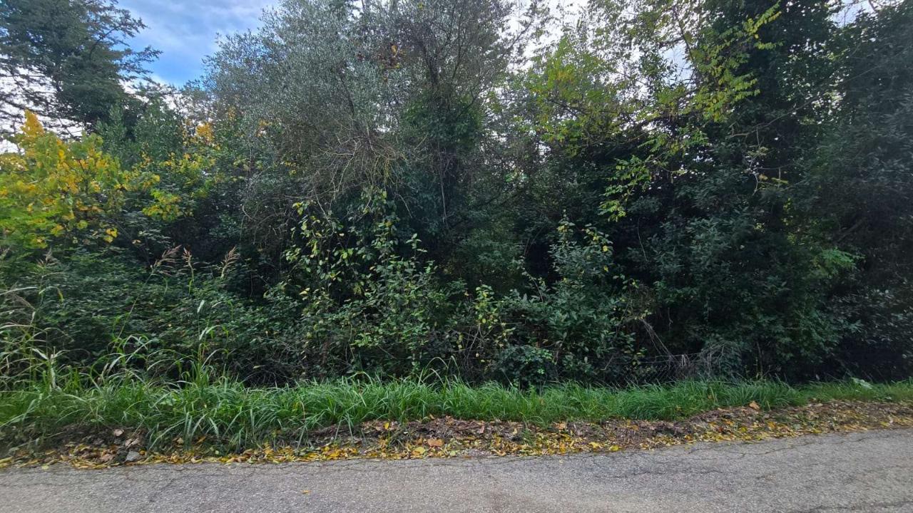 immagine annuncio 5 di 14