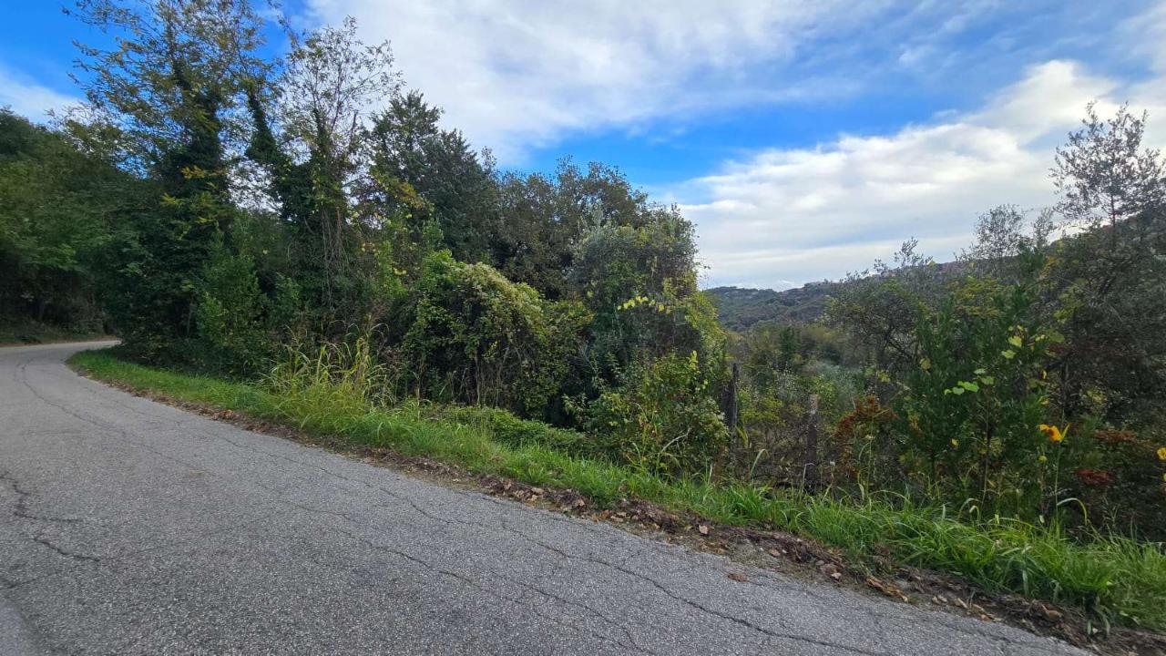 immagine annuncio 6 di 14