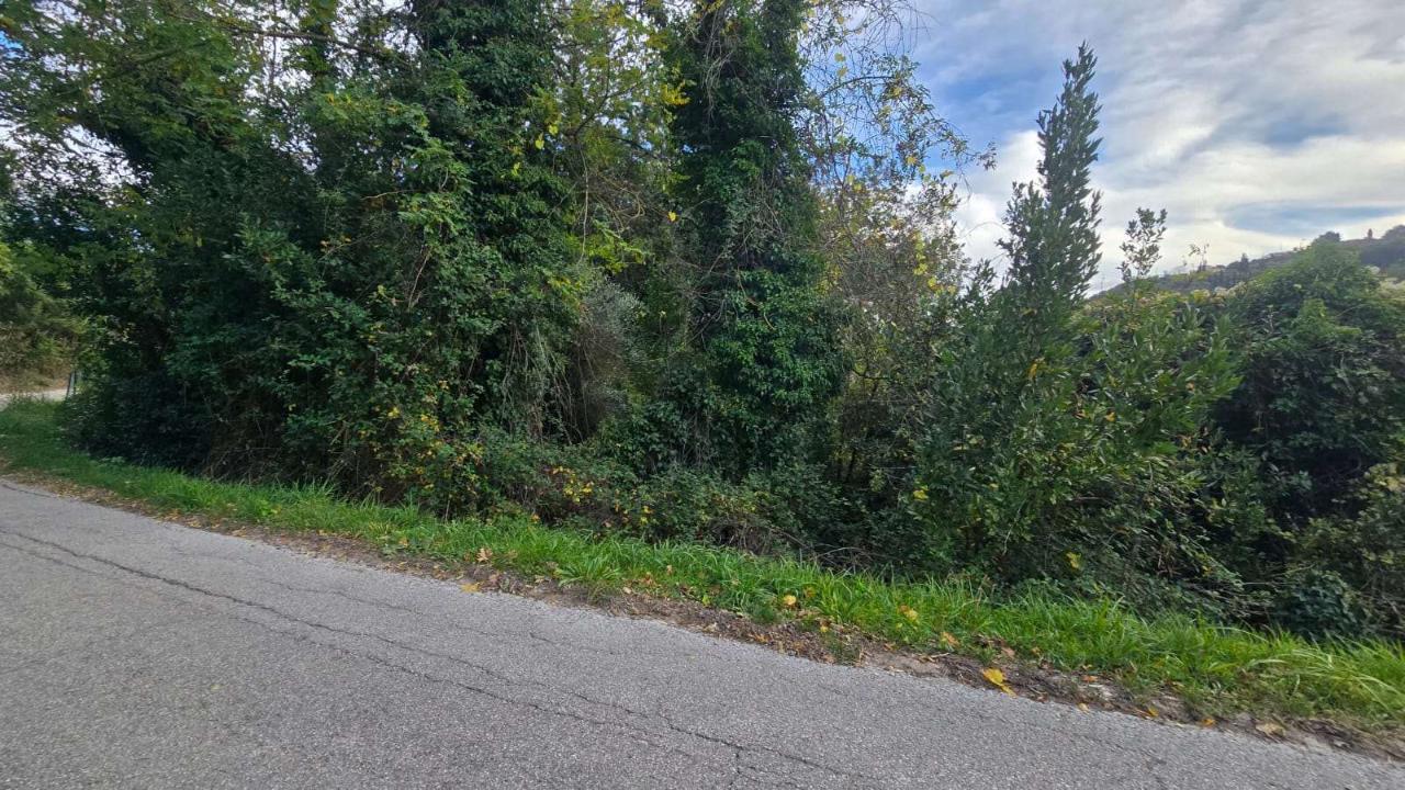 immagine annuncio 4 di 14