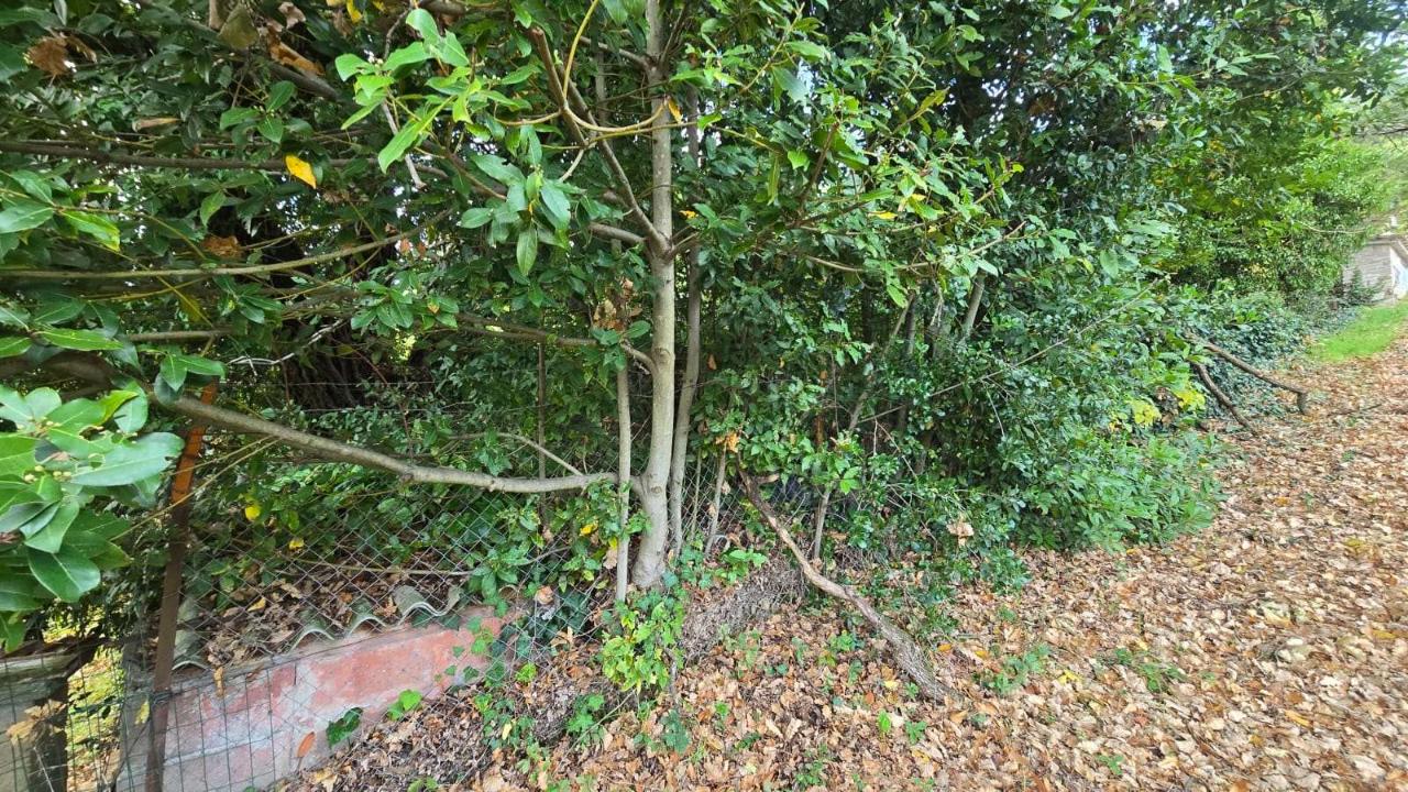 immagine annuncio 11 di 14