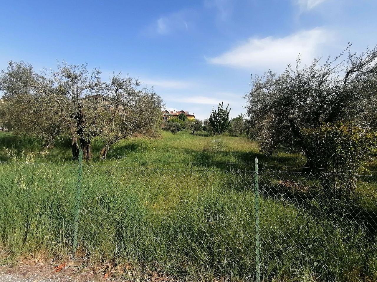 immagine annuncio 10 di 13