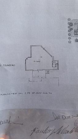 Negozio in , Rosignano Marittimo, {3} - Foto 1