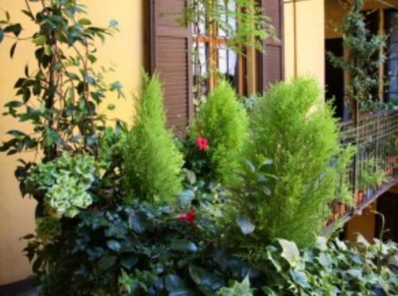 immagine annuncio 4 di 11