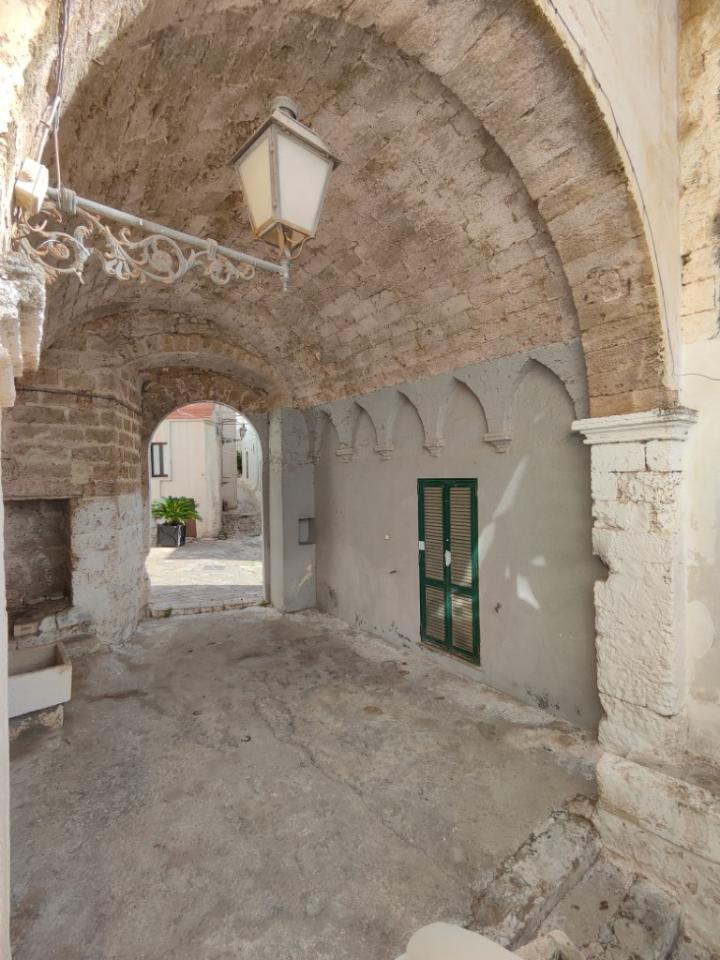 immagine annuncio 11 di 14