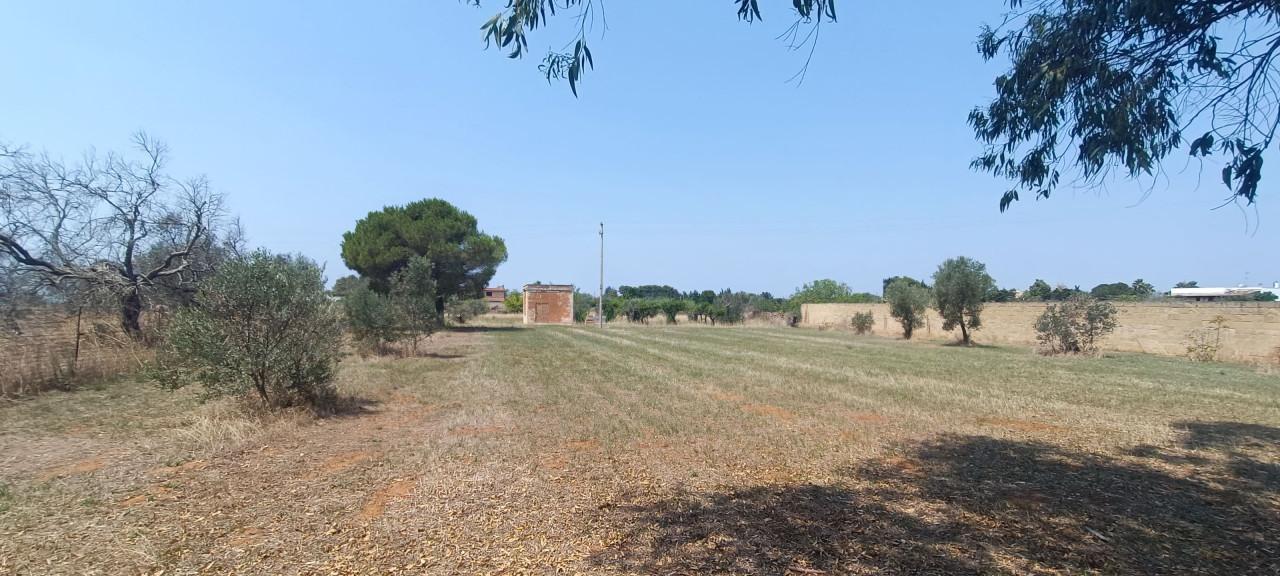 immagine annuncio 3 di 14