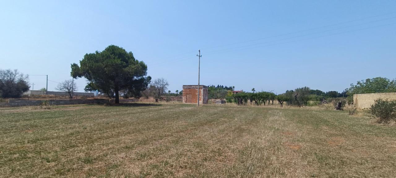 immagine annuncio 5 di 14