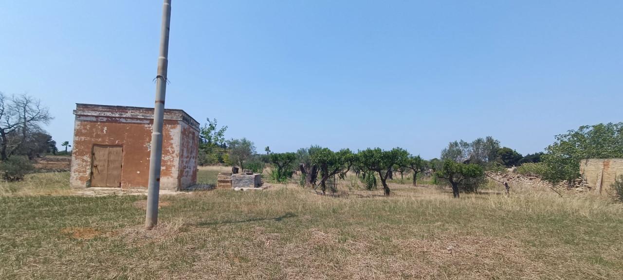 immagine annuncio 6 di 14