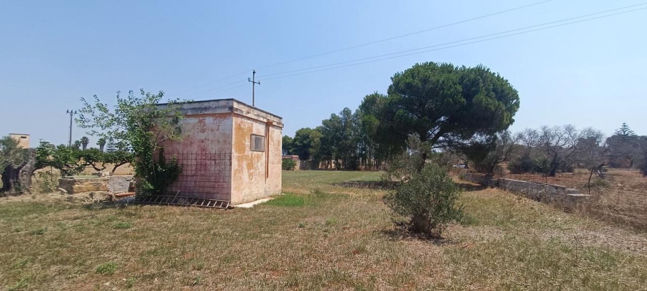 immagine annuncio 9 di 14