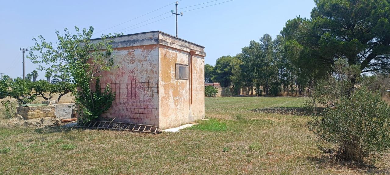 immagine annuncio 10 di 14
