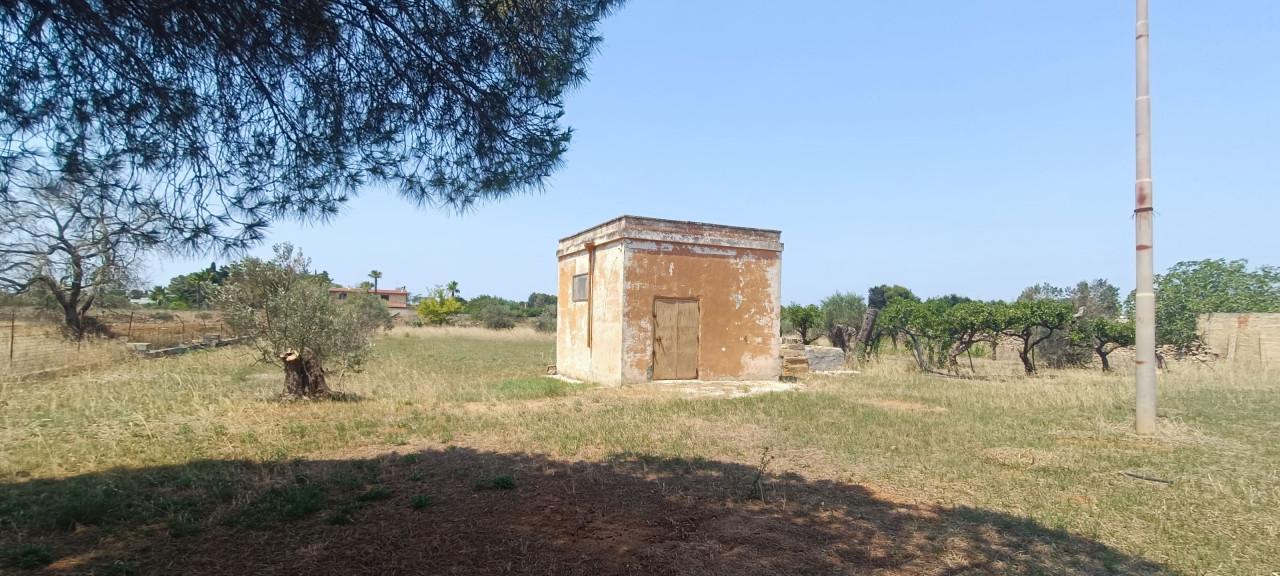 immagine annuncio 12 di 14