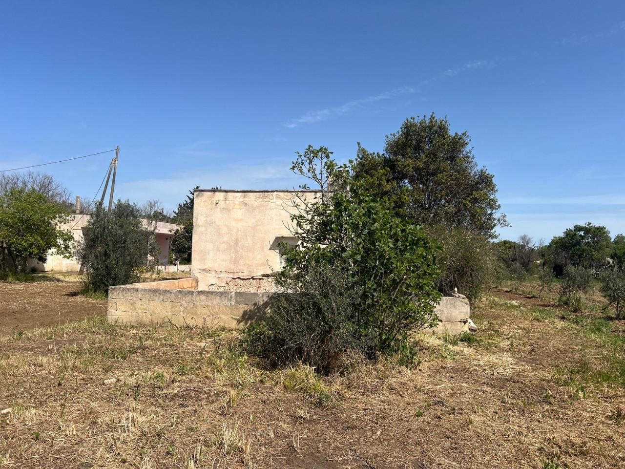 immagine annuncio 10 di 15