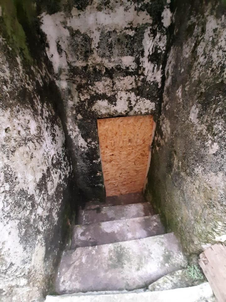 immagine annuncio 9 di 13