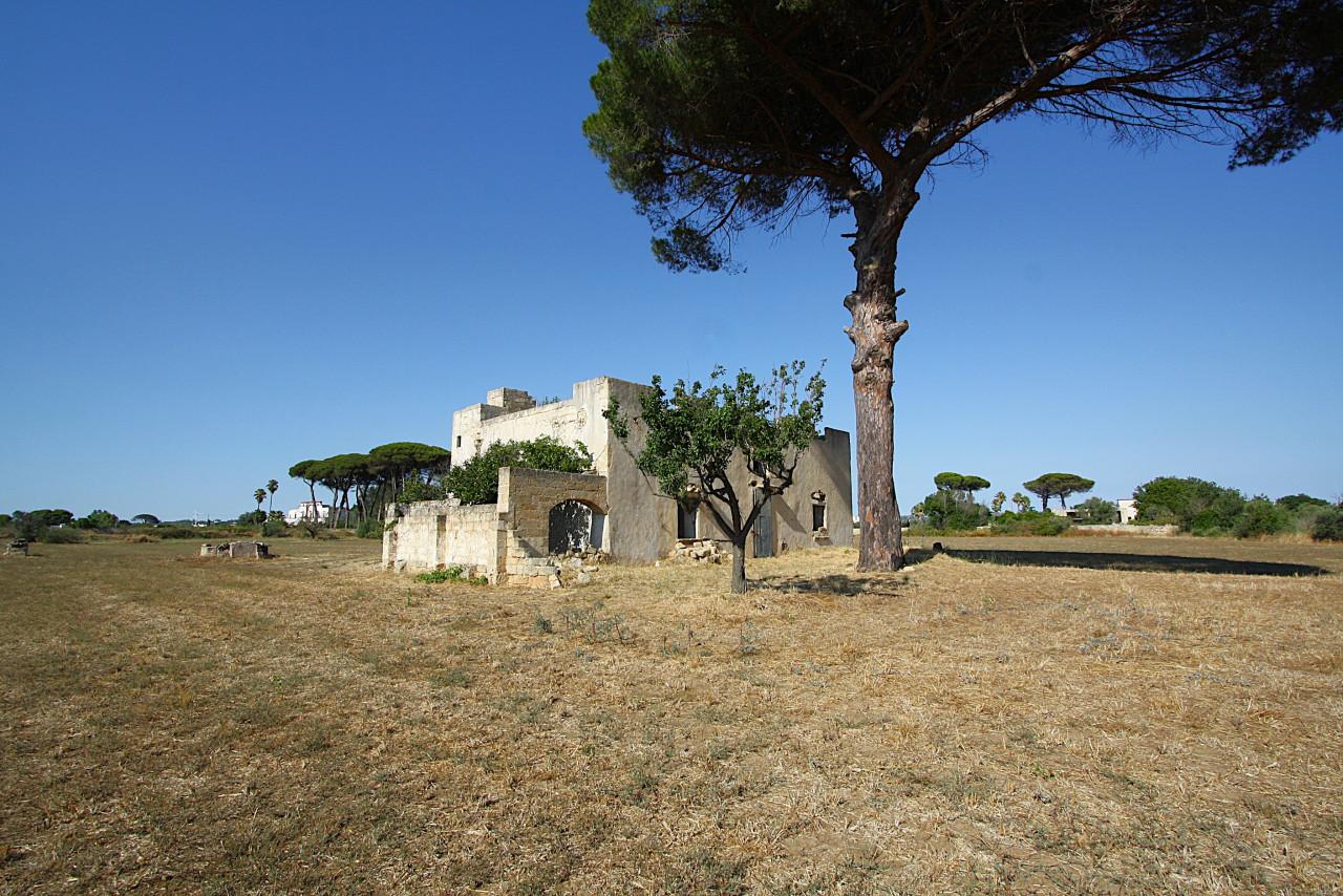 immagine annuncio 10 di 15