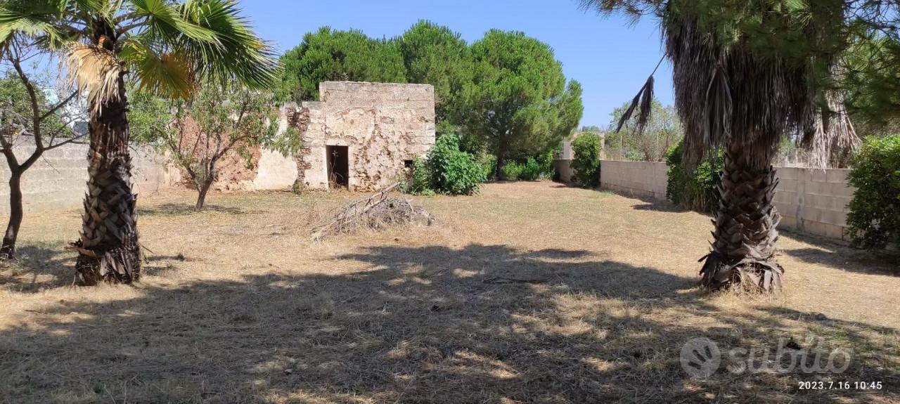 immagine annuncio 3 di 5