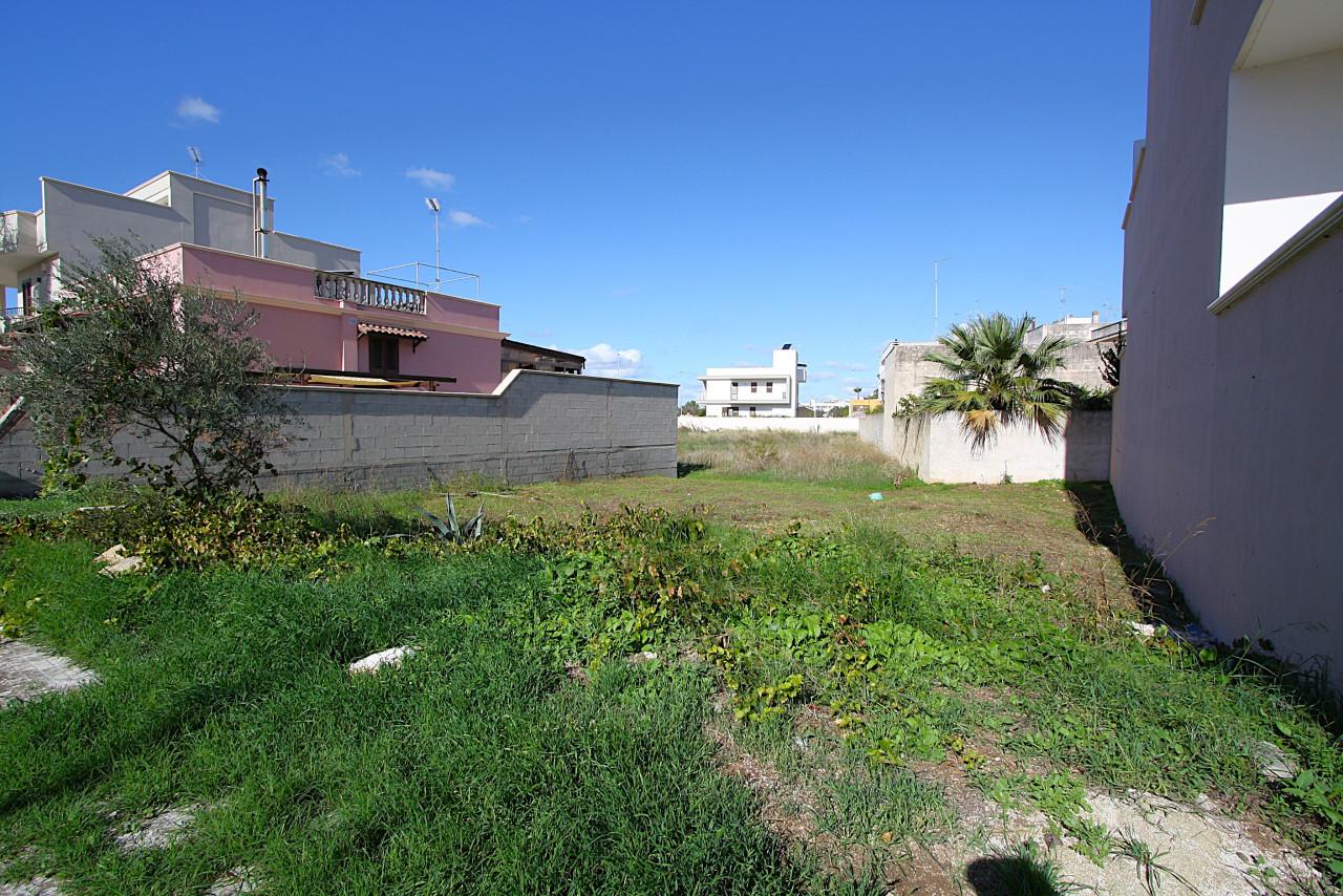 immagine annuncio 5 di 10